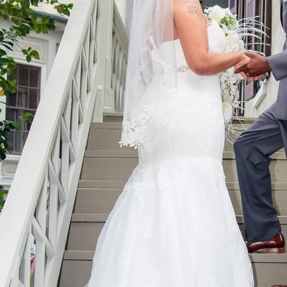 Wedding Dress and Veil